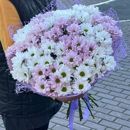 букет из розовой кустовой хризантемы - купить с доставкой в по Ярославлю